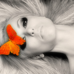 White Bird (Cosmic Gate Remix)