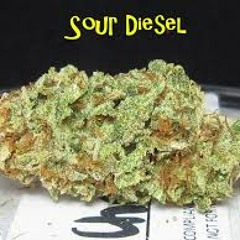 Sour Diesel