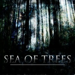The Path Cover - check out the original at https://soundcloud.com/sea-of-trees-music