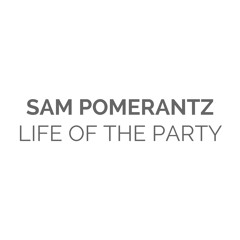 Shawn Mendes - Life Of The Party (Cover)