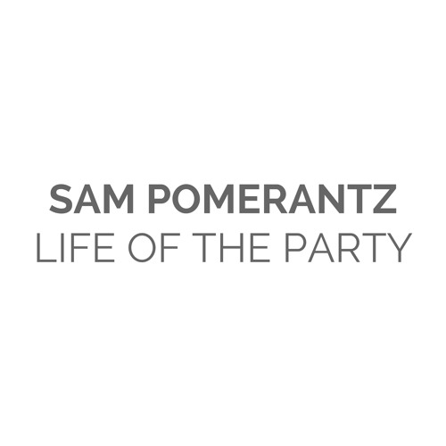 Shawn Mendes - Life Of The Party (Cover)