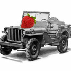 Fresa On A Jeep
