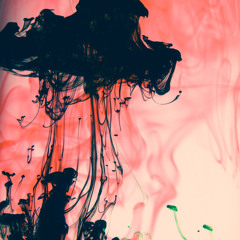 Bringin' Down The Shanty