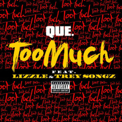 Too Much Ft. Lizzle & Trey Songz (L8R Remix)