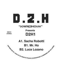 B1- Mr. Ho