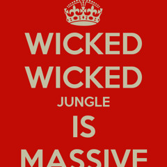 DJ Stag Varivance Mini Mix