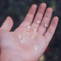 Rain Falls, Love Blooms