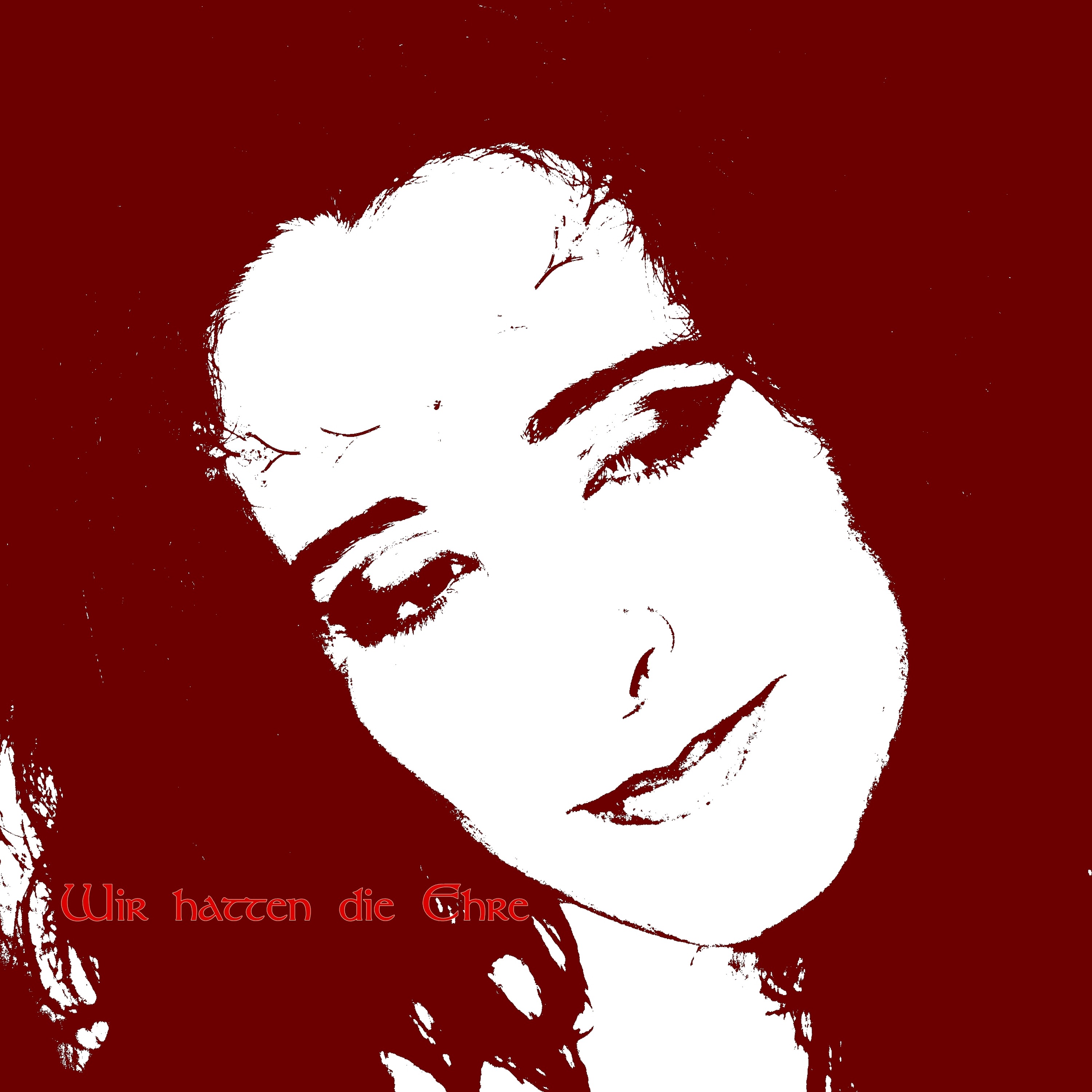 Wir Hatten Die Ehre unplugged (Original) episode artwork