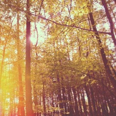 Мой старый друг, мой верный Дьявол… (Skit)(prod. by mix_errr)