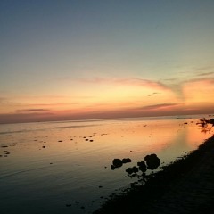 When i was your man (PANDAPAW COVER)