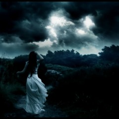 Shy - Night (Original Mix)