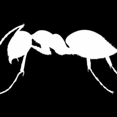 3 - 06 Saatzuchtgut (German Brigante Remix) / ANTS - The Mix 2014 (Los Suruba)