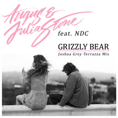Angus & Julia Stone feat. NDC - Grizzly Bear (Joshua Grey Terrazza Mix)