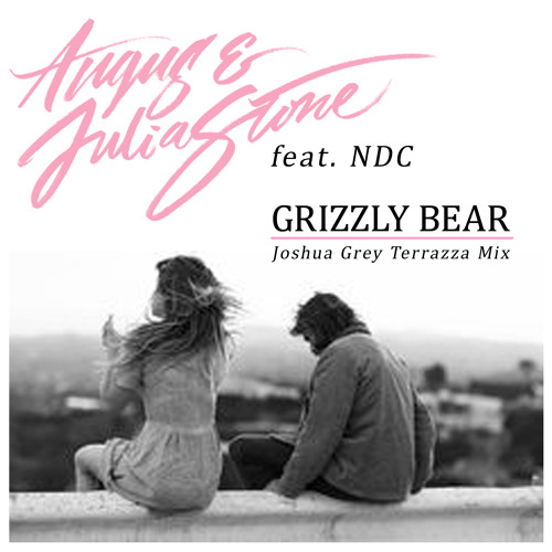 Angus & Julia Stone feat. NDC - Grizzly Bear (Joshua Grey Terrazza Mix)
