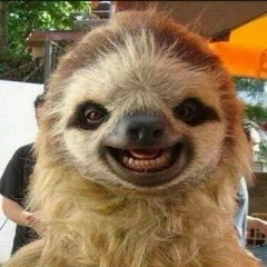 Let's Shake Your Ass