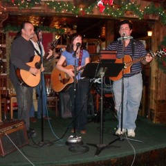 Josephine - Brandi Carlile cover by the Art Vandelay Band