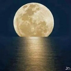 ياربي الباري