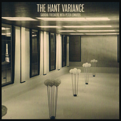 Preview // Sabisha Friedberg with Peter Edwards: The Hant Variance (2xLP Distributed Objects)