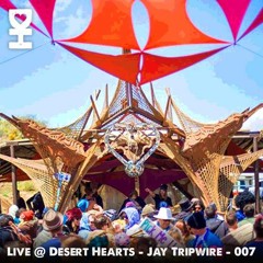 Live @ Desert Hearts - Jay Tripwire - 007