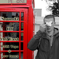 Public Enemy aka PE - SOUNDZ OF THE EAST