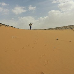 anees