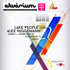 harkids - TrueSounds pres. Lake People & Alex Niggemann - DJ Contest Mix