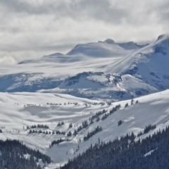 That Feeling - with Daniele Turani / guitar