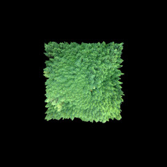 Convenience Store (demo)