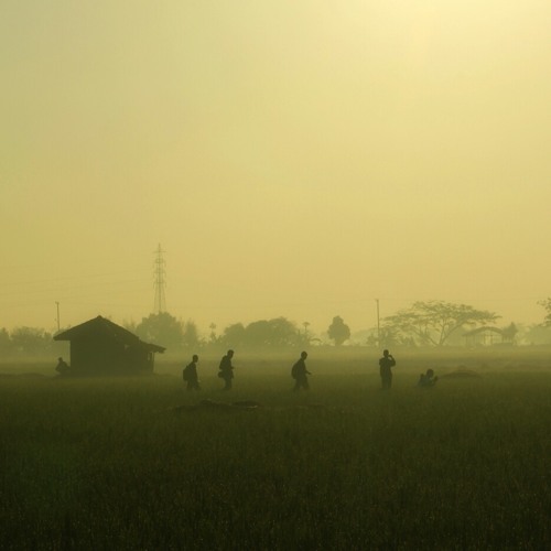 Nature - Relax Daily