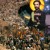 Artwork for Chalice - Max Romeo (One Step Forward) &  Reggae George (Genesis To Revelation).