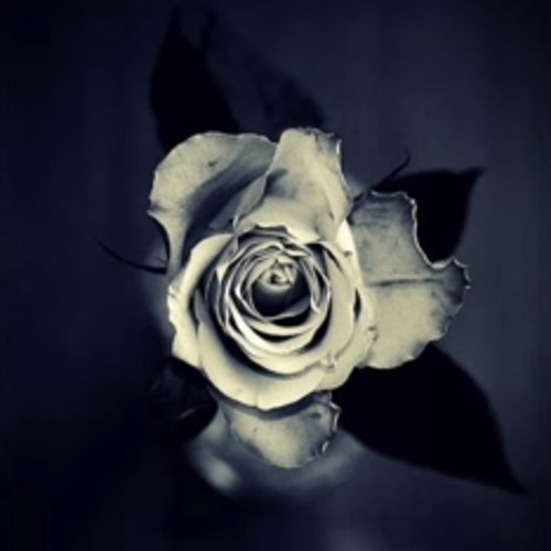 Apocalyptica- Epilogue