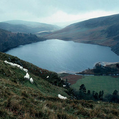 Among the Wicklow Hills (Christy Moore cover)