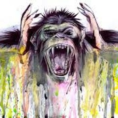 Set Monkey Jumping Montains SkY Mayoki 2014