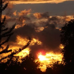 Playing Tricks On My Mind