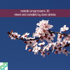 Melodic Progressions 30 - 2 Hour Special Mix