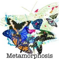 Metamorphosis (feat.) Miloh Smith