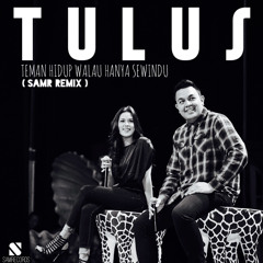 Tulus - Teman Hidup Walau Hanya Sewindu ( DJ Samr Remix )