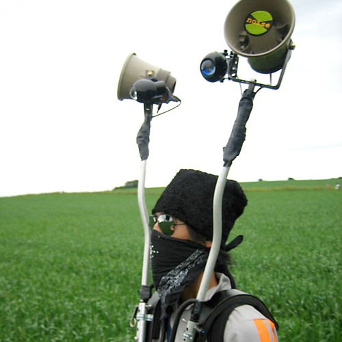 Sound Swarm / A Mix Soundtrack for Disobedient Objects, Victoria & Albert Museum, London