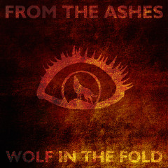 Wolf In The Fold
