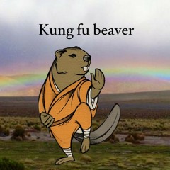Kun Fu Beaver