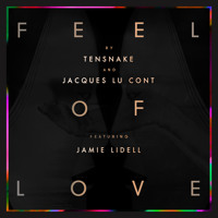 Tensnake - Feel of Love (Kaytranada Edition)