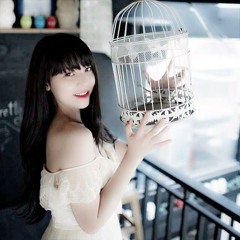 Lạc lối - Candy Bảo Hòa