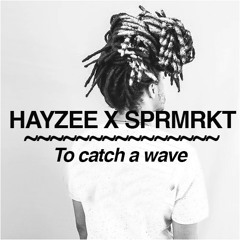 Mix tape #4 ¨To Catch A Wave¨by HAYZEE