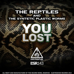 The Reptiles ft. The Synthetic Plastic Worms - You Lost