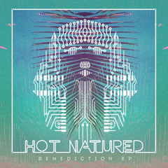 Hot Natured - Benediction (Nic Fanciulli Remix)