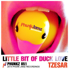 TZESAR - Little Bit Of Duck Love (Original Mix)