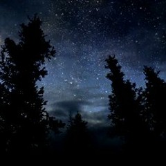 In The Still Of The Night