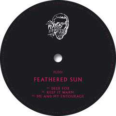 Feathered Sun - Keep It Warm