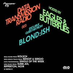 Data Transmission Radio Show 023 - Pioneer Radio - Hosted by Eagles & Butterflies