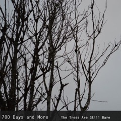 I'll Always Remember Dancing In The Park